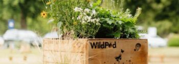 WildPod